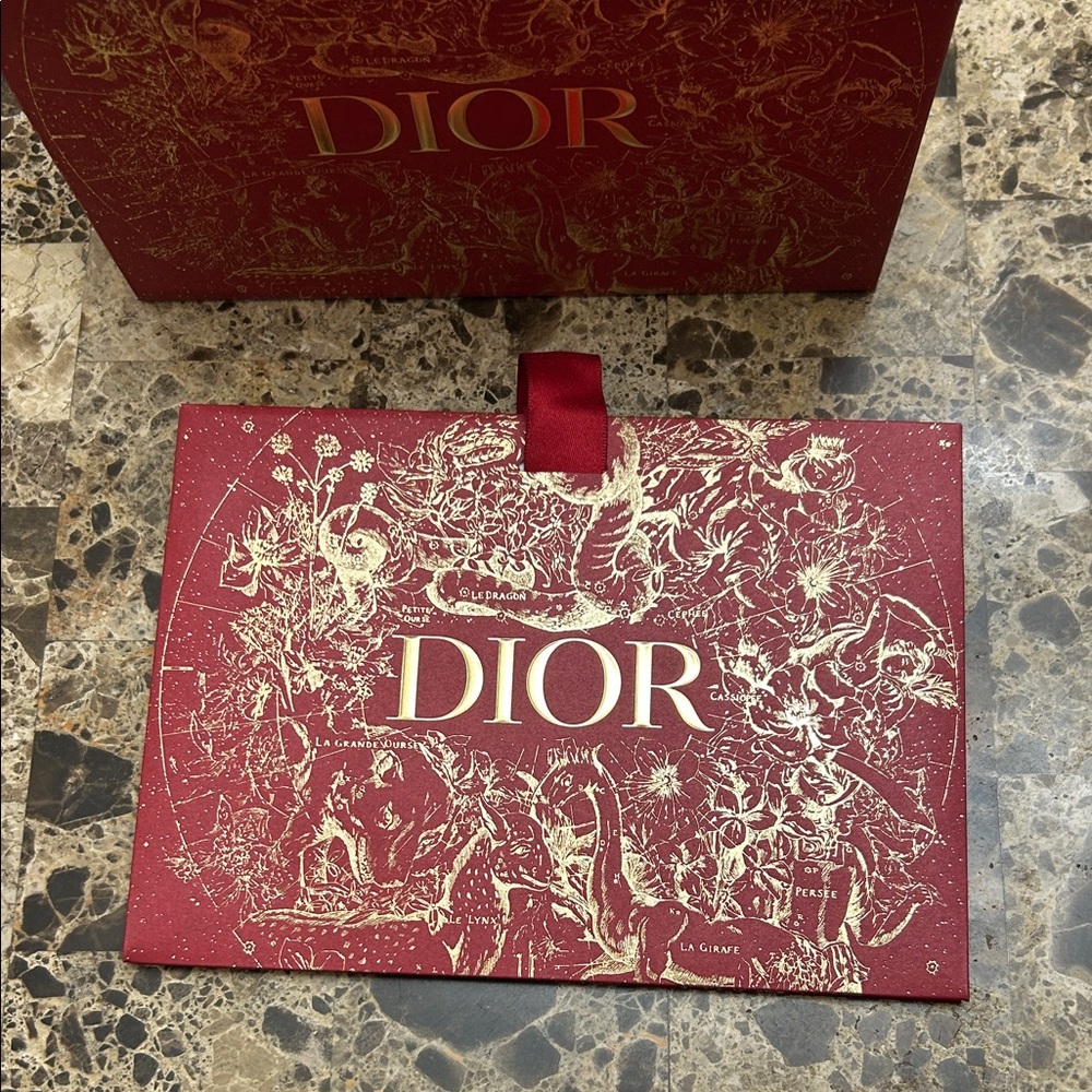 Dior Luxurious Red and Gold thick 2 bags - Picture 5 of 9